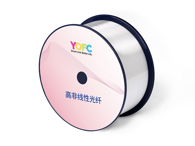 高非线性光纤 (HNLF)